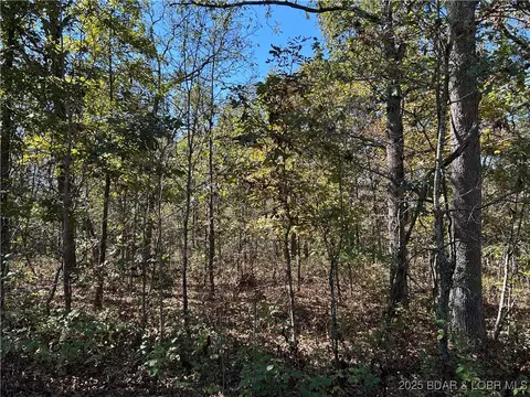 Off Kip Drive, Edwards, MO 65326 photo 9