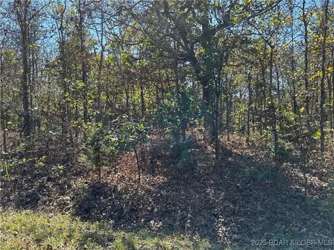Off Kip Drive, Edwards, MO 65326 photo 15