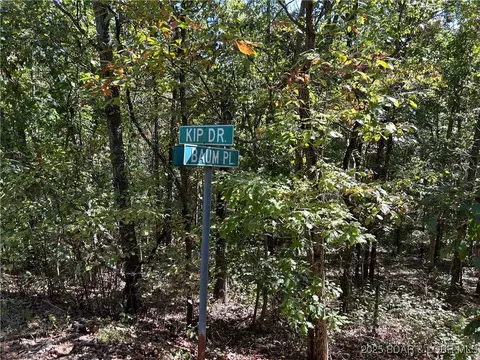 Off Kip Drive, Edwards, MO 65326 photo 7