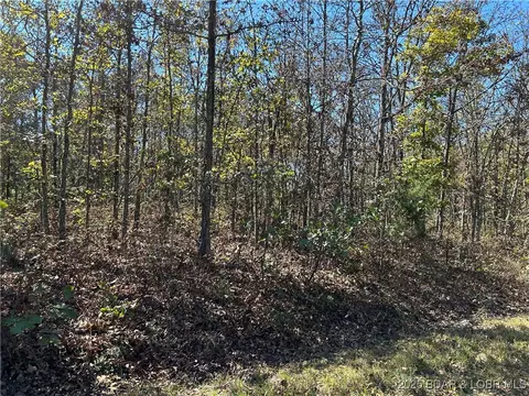 Off Kip Drive, Edwards, MO 65326 photo 14
