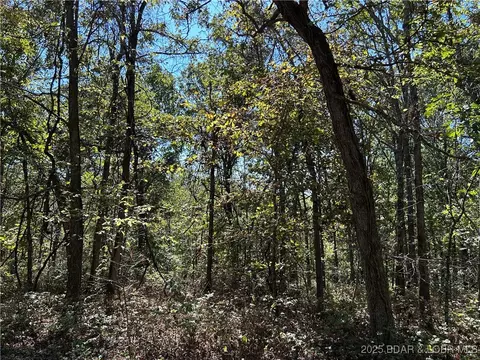 Off Kip Drive, Edwards, MO 65326 photo 17