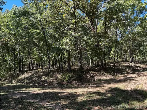 Off Kip Drive, Edwards, MO 65326 photo 8