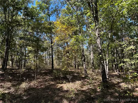 Off Kip Drive, Edwards, MO 65326 photo 5