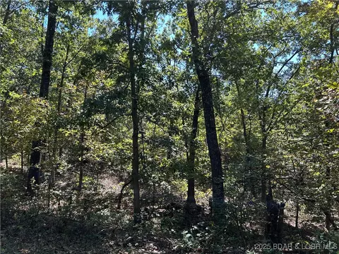 Off Kip Drive, Edwards, MO 65326 photo 16