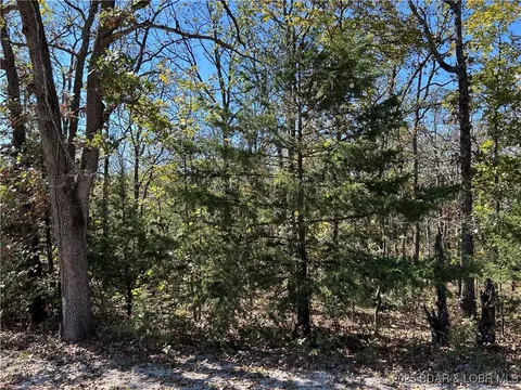 Off Kip Drive, Edwards, MO 65326 photo 18