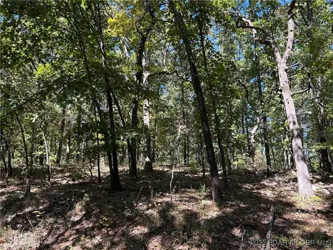 Off Kip Drive, Edwards, MO 65326 photo 6