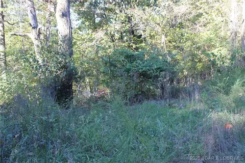 Dogwood Drive, Stover, MO 65078 photo 2