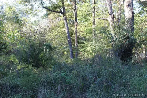 Dogwood Drive, Stover, MO 65078 photo 3