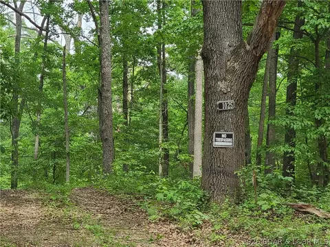 31025 Broken Circle Rd, Stover, MO 65078 photo 26