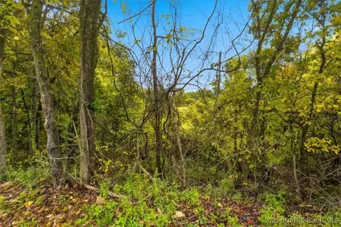 tbd Hickory St, Camdenton, MO 65020 photo 6