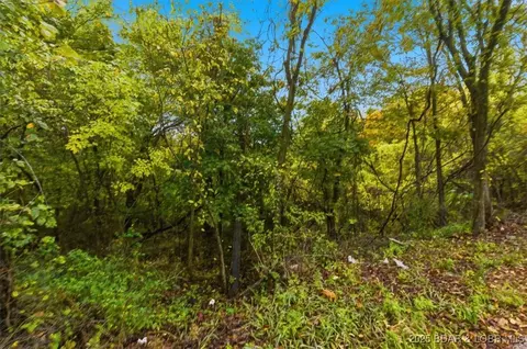 tbd Hickory St, Camdenton, MO 65020 photo 17