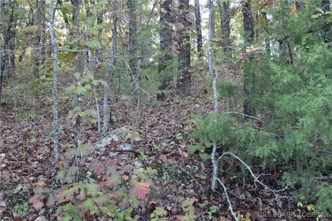 tbd Apache Ln, Rocky Mount, MO 65072