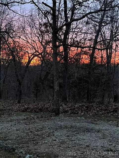 Other - 16376 Twisted Tree Rd, Barnett, MO 65011 photo 19 of 32