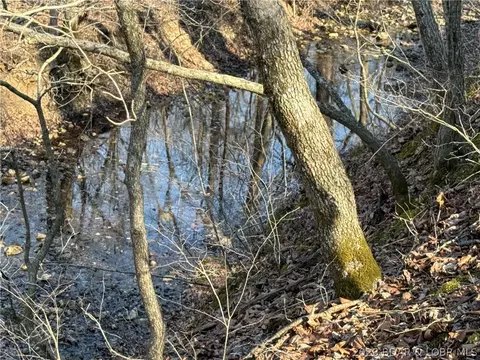 View/Area - 16376 Twisted Tree Rd, Barnett, MO 65011 photo 5 of 8