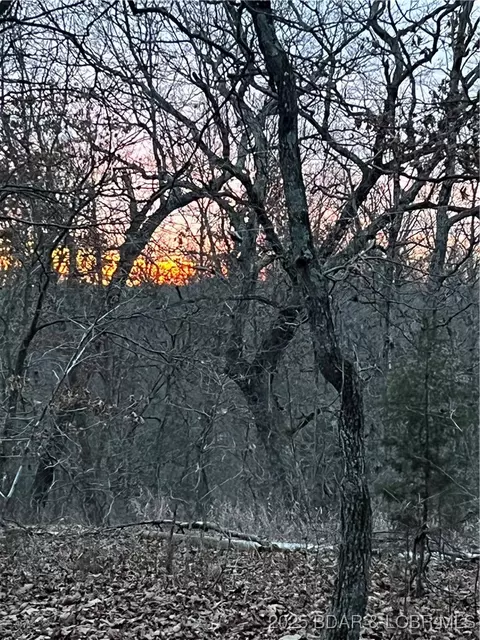 Other - 16376 Twisted Tree Rd, Barnett, MO 65011 photo 20 of 32