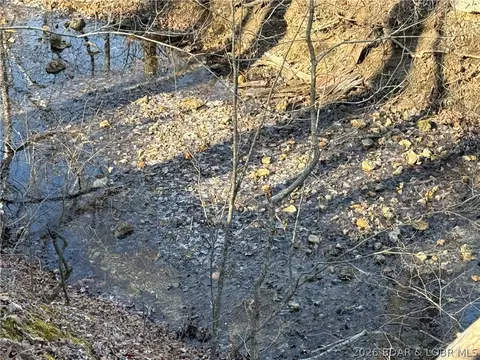 View/Area - 16376 Twisted Tree Rd, Barnett, MO 65011 photo 3 of 8