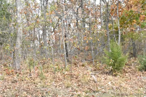 lot220 Imperial Point Dr, Lake Ozark, MO 65049