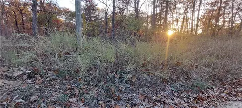 4268 Saw Mill Rd, Stover, MO 64078 photo 3