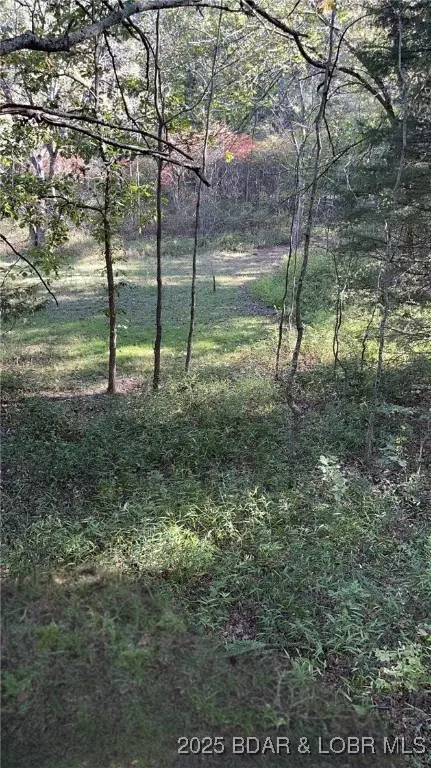 tbd Quail Run, Preston, MO 65732 photo 6
