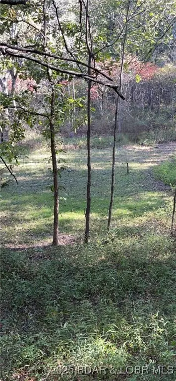 tbd Quail Run, Preston, MO 65732 photo 3