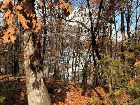 lot46 Carol Rd, Four Seasons, MO 65049