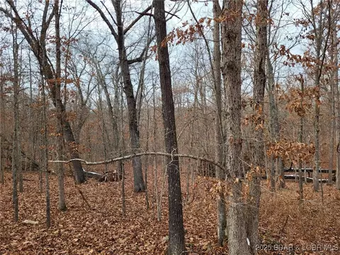 dunn drive, Edwards, MO 65326