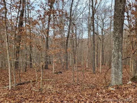 dunn drive, Edwards, MO 65326 photo 10