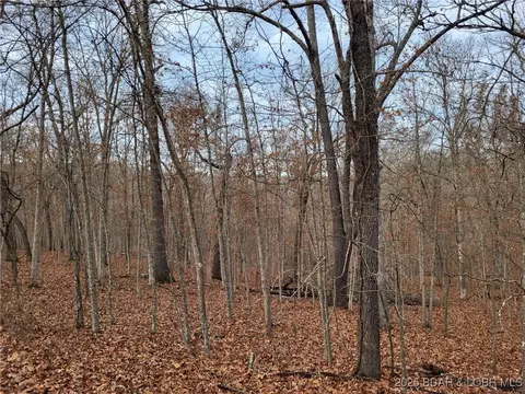 dunn drive, Edwards, MO 65326 photo 5