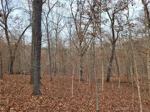 dunn drive, Edwards, MO 65326 photo 4