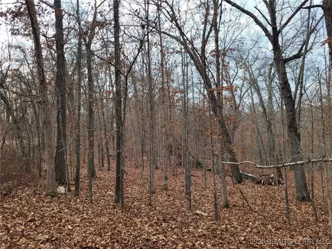 dunn drive, Edwards, MO 65326 photo 2