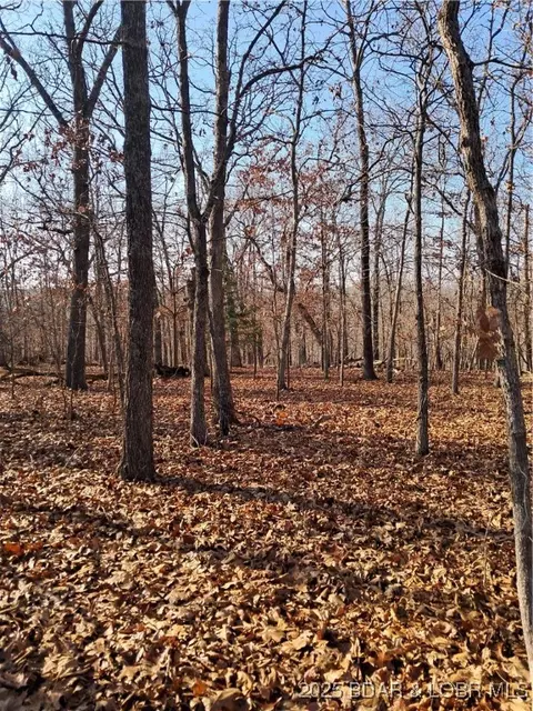 lot S 4 5 South Buck Creek Rd, Gravois Mills, MO 65037
