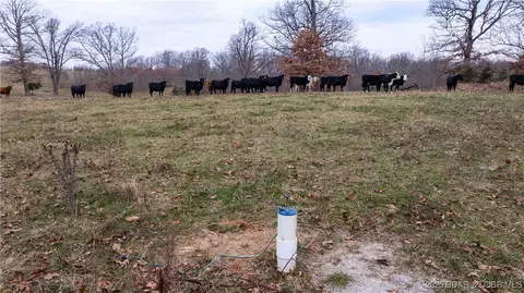 Other - 12765 Buckeye Rd, Crocker, MO 65452 photo 3 of 19