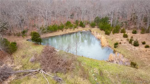 View/Area - 12765 Buckeye Rd, Crocker, MO 65452 photo 8 of 13