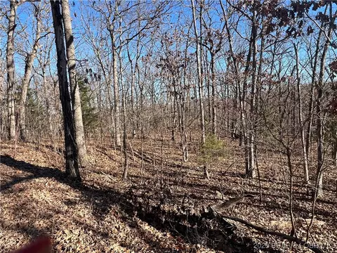 Thong Tree Road, Camdenton, MO 65020