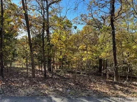 lot436 Pier 31 Rd, Camdenton, MO 65020
