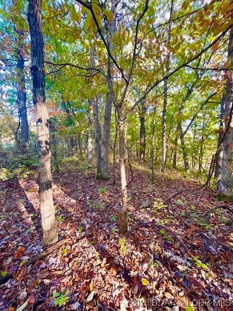 APT 6 Lakewood Lane, Barnett, MO 65011