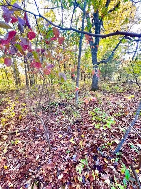lot S Apt 456 Lakewood Ln, Barnett, MO 65011
