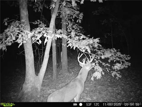 216 Medley Ln, Eldridge, MO 65463 photo 72