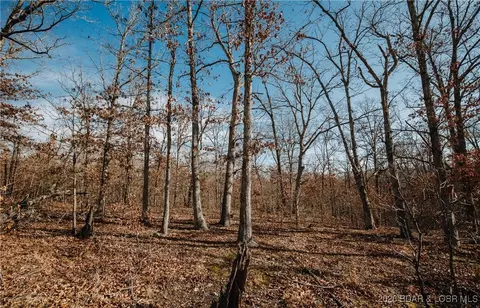 216 Medley Ln, Eldridge, MO 65463 photo 28