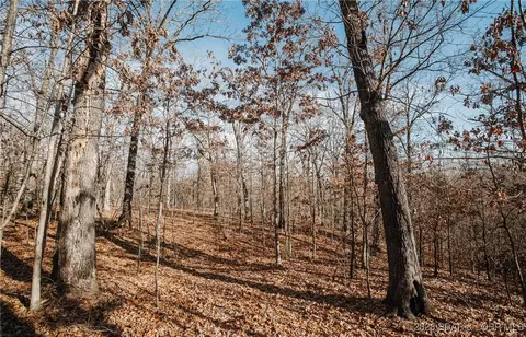 216 Medley Ln, Eldridge, MO 65463 photo 32