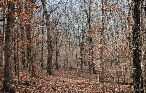 216 Medley Ln, Eldridge, MO 65463 photo 37