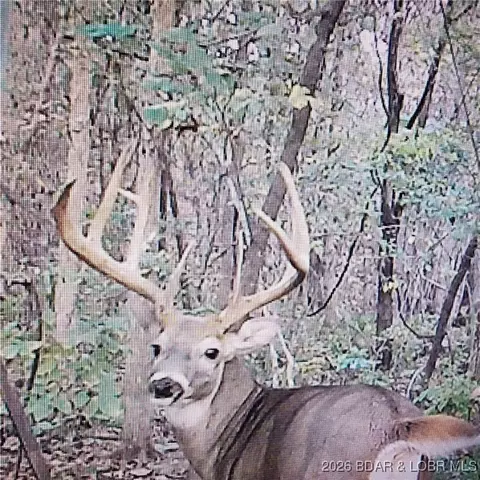 lot2 State Aa Rd, Roach, MO 65787