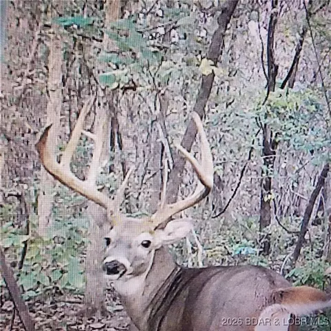 lot5 State Aa Rd, Roach, MO 65787
