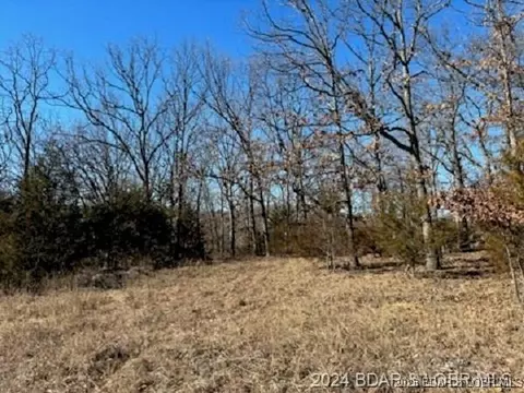 tbd Buckingham Dr, Camdenton, MO 65020