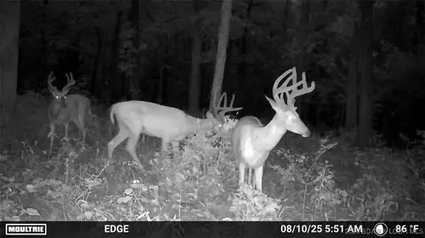 tbd Hwy Mm, Eldon, MO 65026 photo 4