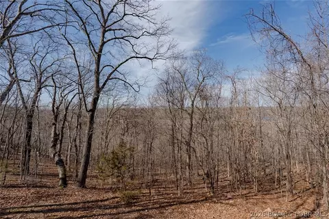 View/Area - 25 View Dr, Camdenton, MO 65020 photo 1 of 3