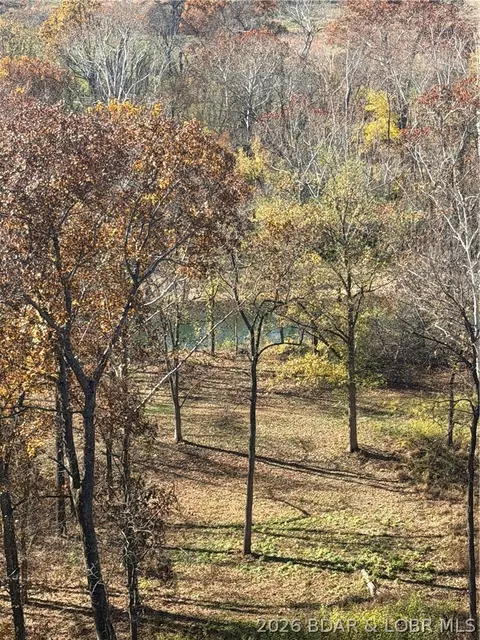 View/Area - 1378 Full Gallop Ln, Roach, MO 65787 photo 10 of 12