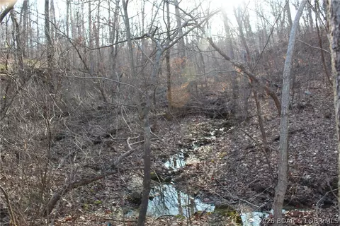Other - 30932 Blackbird Rd, Stover, MO 65078 photo 24 of 31