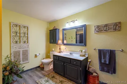 Bath - 41 Skyview Dr, Roach, MO 65787 photo 2 of 7