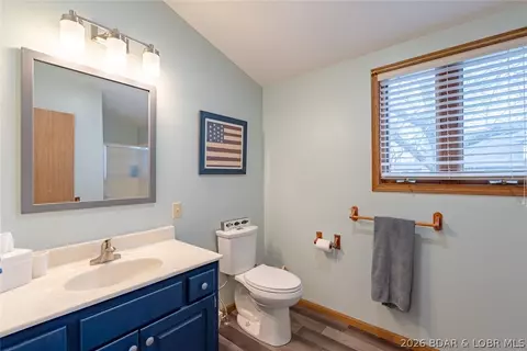 Bath - 41 Skyview Dr, Roach, MO 65787 photo 4 of 7